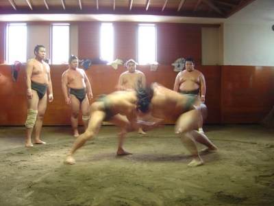 luchadores de sumo